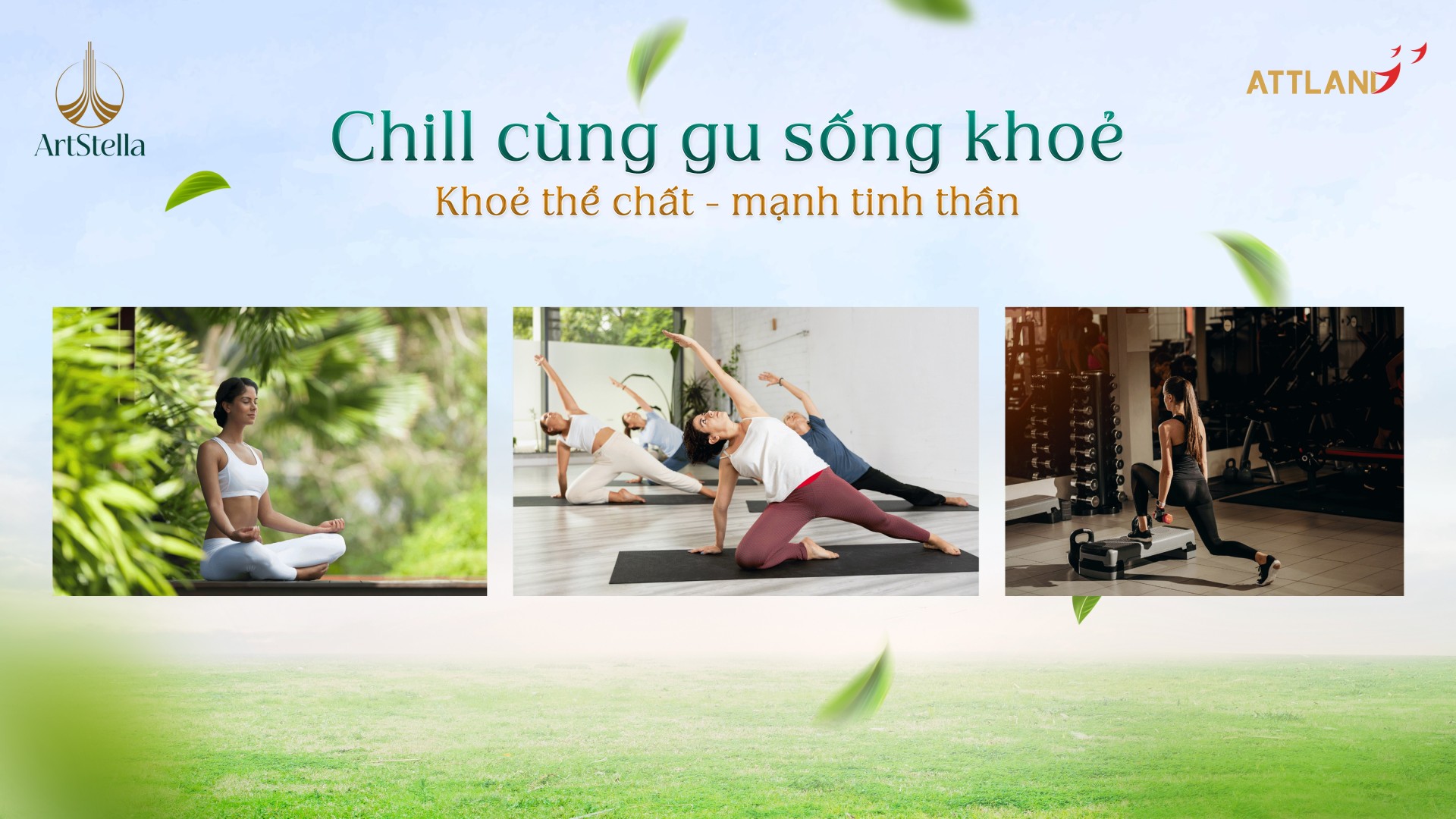 Tiện ích Artstella (7)